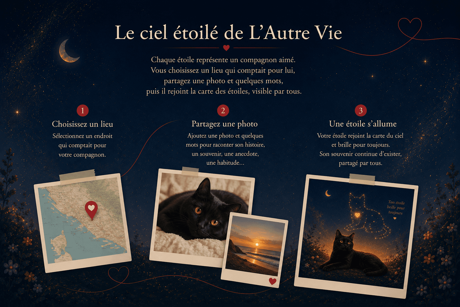 Le ciel étoilé de L'Autre Vie